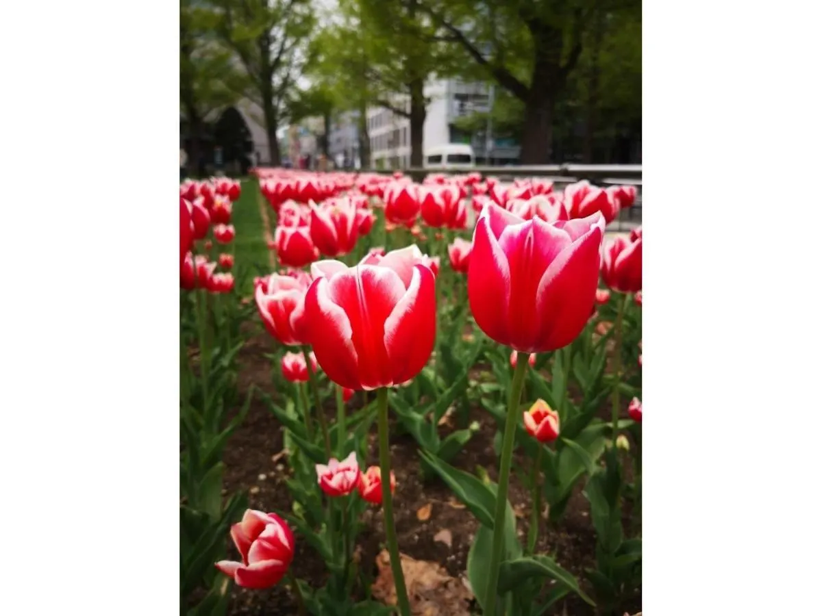 Hotel Tetora Spirit Sapporo - Vacation Stay 59351V